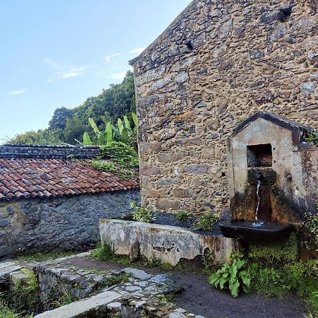 Aldeia do Sanguinho Faial da Terra Exterior foto